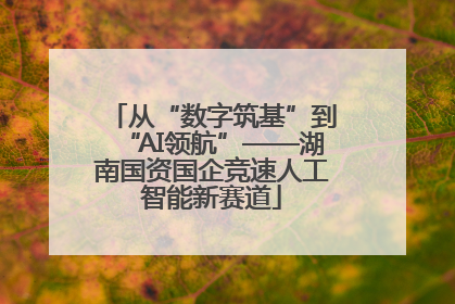 从“数字筑基”到“AI领航”——湖南国资国企竞速人工智能新赛道