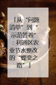 从“问题清单”到“示范答卷”：利通区农业节水整改的“蝶变之路”