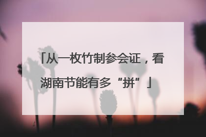 从一枚竹制参会证，看湖南节能有多“拼”