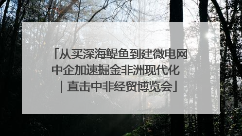 从买深海鳀鱼到建微电网 中企加速掘金非洲现代化｜直击中非经贸博览会