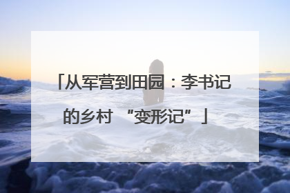 从军营到田园：李书记的乡村 “变形记”