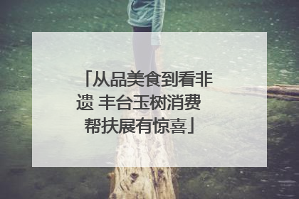 从品美食到看非遗 丰台玉树消费帮扶展有惊喜