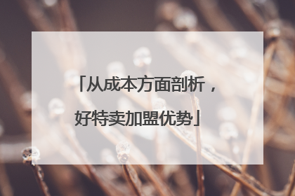 从成本方面剖析，好特卖加盟优势