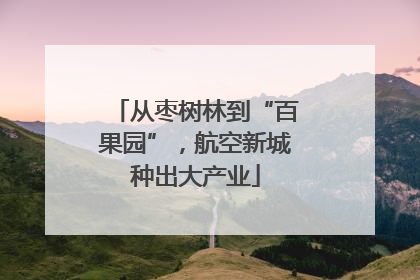 从枣树林到“百果园”，航空新城种出大产业