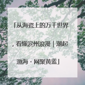从海瓷上的万千世界，看懂滨州浪漫｜潮起渤海・网聚黄蓝