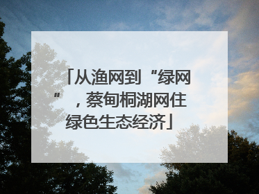 从渔网到“绿网”，蔡甸桐湖网住绿色生态经济