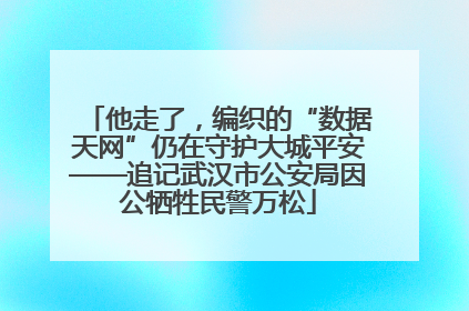 他走了，编织的“数据天网”仍在守护大城平安——追记武汉市公安局因公牺牲民警万松