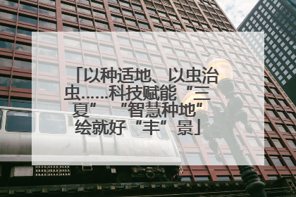 以种适地、以虫治虫……科技赋能“三夏” “智慧种地”绘就好“丰”景