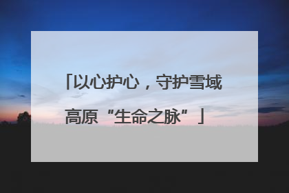 以心护心，守护雪域高原“生命之脉”