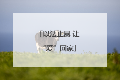 以法止暴 让“爱”回家