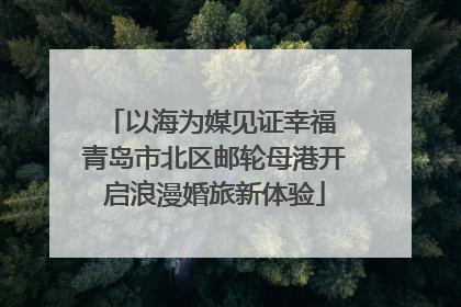 以海为媒见证幸福 青岛市北区邮轮母港开启浪漫婚旅新体验