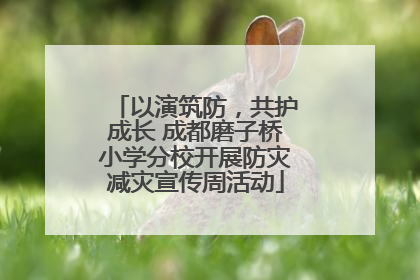 以演筑防，共护成长 成都磨子桥小学分校开展防灾减灾宣传周活动