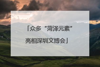 众多“菏泽元素”亮相深圳文博会