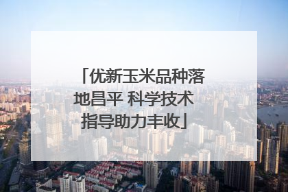 优新玉米品种落地昌平 科学技术指导助力丰收