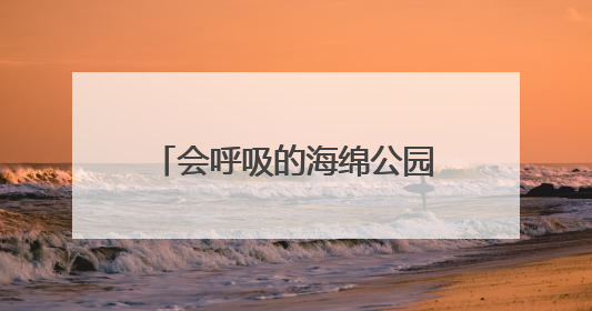 会呼吸的海绵公园来了！杨浦新江湾城7.35公顷生态空间改造焕新