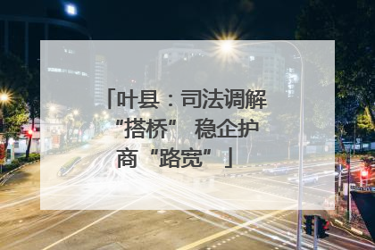 叶县：司法调解“搭桥” 稳企护商“路宽”