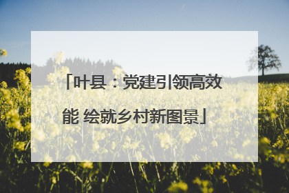 叶县：党建引领高效能 绘就乡村新图景