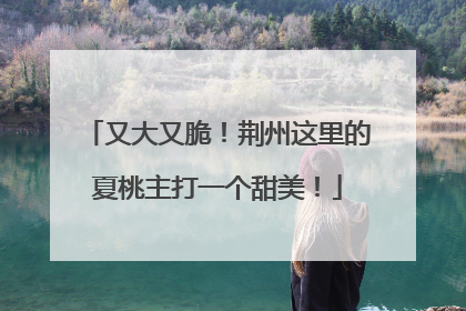 又大又脆！荆州这里的夏桃主打一个甜美！