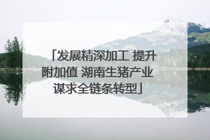 发展精深加工 提升附加值 湖南生猪产业谋求全链条转型