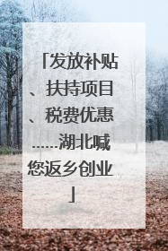 发放补贴、扶持项目、税费优惠……湖北喊您返乡创业