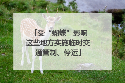 受“蝴蝶”影响 这些地方实施临时交通管制、停运