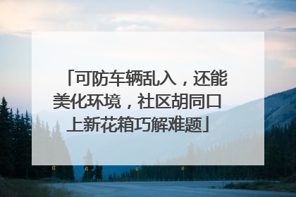 可防车辆乱入，还能美化环境，社区胡同口上新花箱巧解难题
