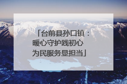 台前县孙口镇：暖心守护践初心 为民服务显担当