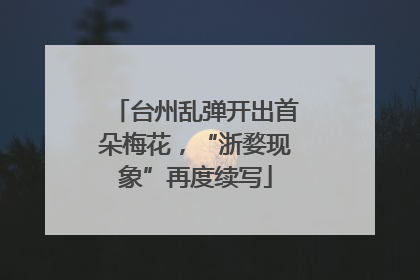台州乱弹开出首朵梅花，“浙婺现象”再度续写