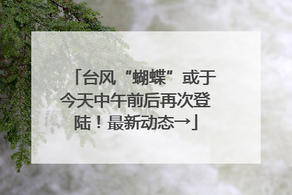 台风“蝴蝶”或于今天中午前后再次登陆！最新动态→