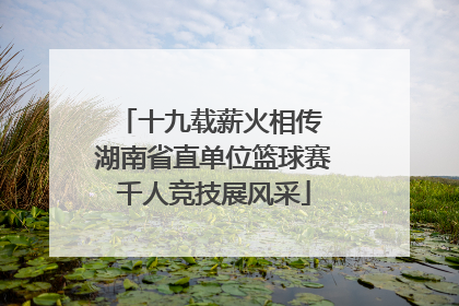 十九载薪火相传 湖南省直单位篮球赛千人竞技展风采