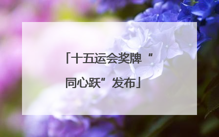 十五运会奖牌“同心跃”发布