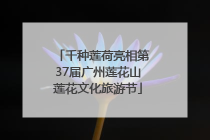 千种莲荷亮相第37届广州莲花山莲花文化旅游节