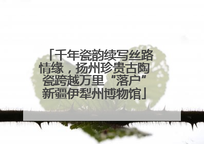 千年瓷韵续写丝路情缘，扬州珍贵古陶瓷跨越万里“落户”新疆伊犁州博物馆