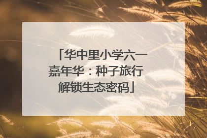 华中里小学六一嘉年华：种子旅行解锁生态密码