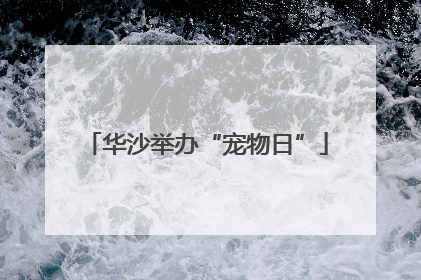华沙举办“宠物日”