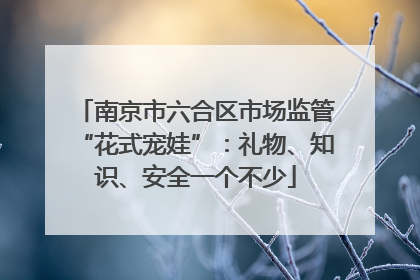 南京市六合区市场监管“花式宠娃”：礼物、知识、安全一个不少