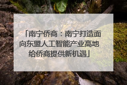 南宁侨商：南宁打造面向东盟人工智能产业高地给侨商提供新机遇