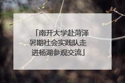 南开大学赴菏泽暑期社会实践队走进杨湖参观交流
