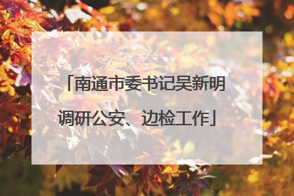 南通市委书记吴新明调研公安、边检工作