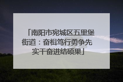 南阳市宛城区五里堡街道：奋楫笃行勇争先 实干奋进结硕果