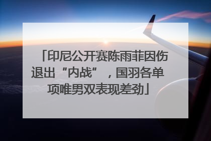 印尼公开赛陈雨菲因伤退出“内战”，国羽各单项唯男双表现差劲