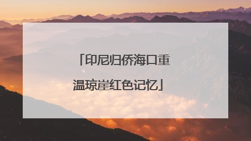 印尼归侨海口重温琼崖红色记忆