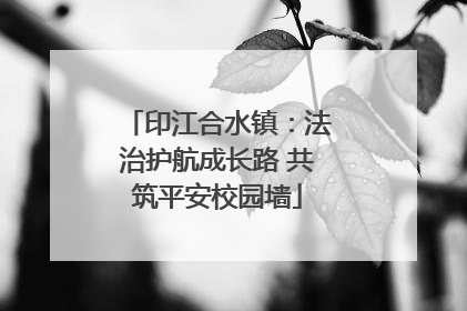 印江合水镇：法治护航成长路 共筑平安校园墙