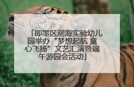 即墨区潮海实验幼儿园举办“梦想起航 童心飞扬”文艺汇演暨端午游园会活动