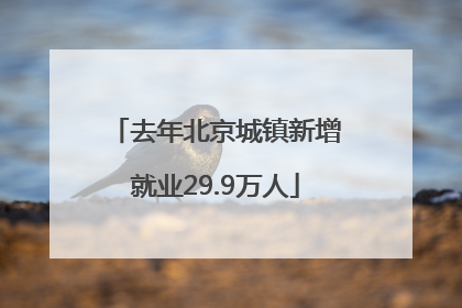 去年北京城镇新增就业29.9万人