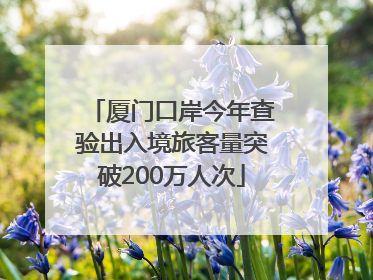 厦门口岸今年查验出入境旅客量突破200万人次