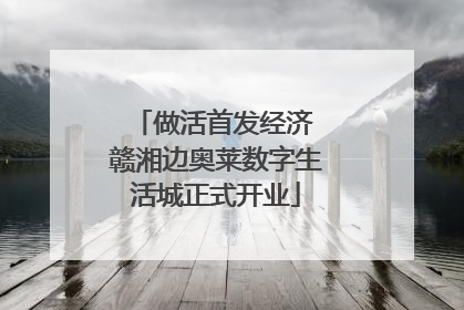 做活首发经济 赣湘边奥莱数字生活城正式开业