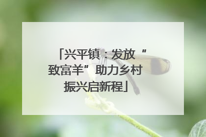兴平镇：发放“致富羊”助力乡村振兴启新程