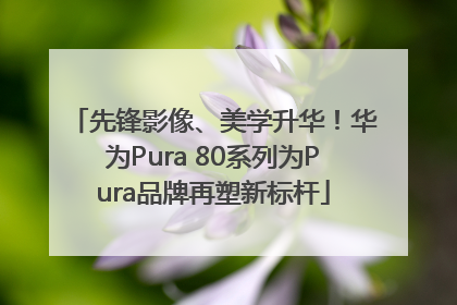 先锋影像、美学升华！华为Pura 80系列为Pura品牌再塑新标杆