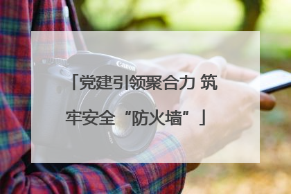 党建引领聚合力 筑牢安全“防火墙”